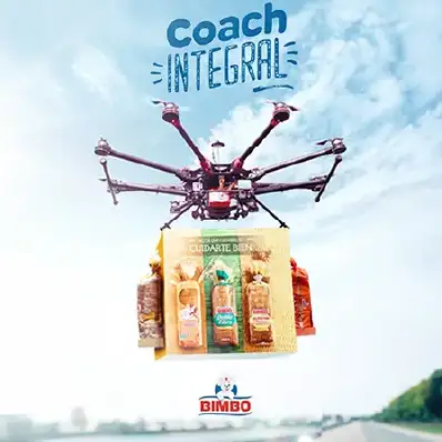 Proyecto El Coach Integral