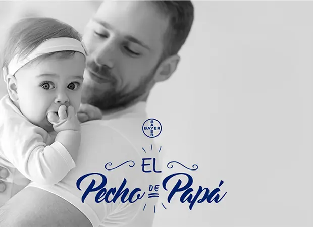 Proyecto Pecho de Papá