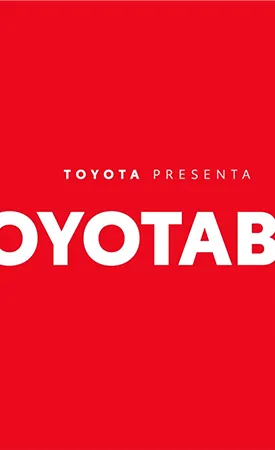 Proyecto Toyotabot